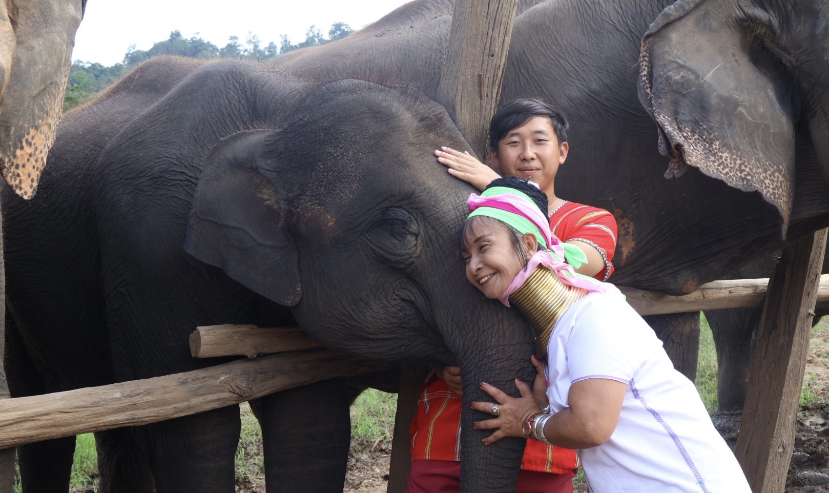 New Elephant Home Owner