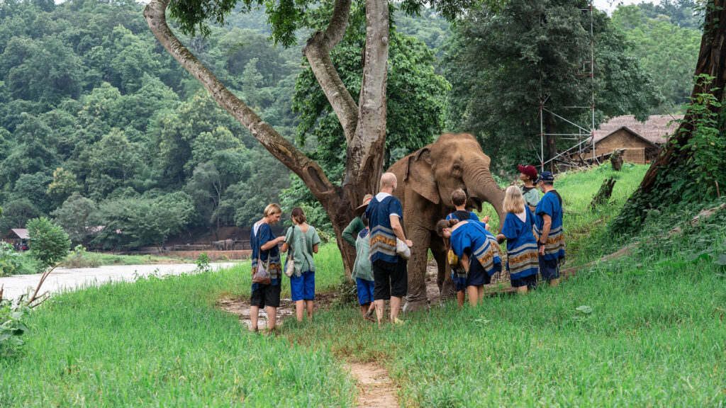 New Elephant Home Full Day Program