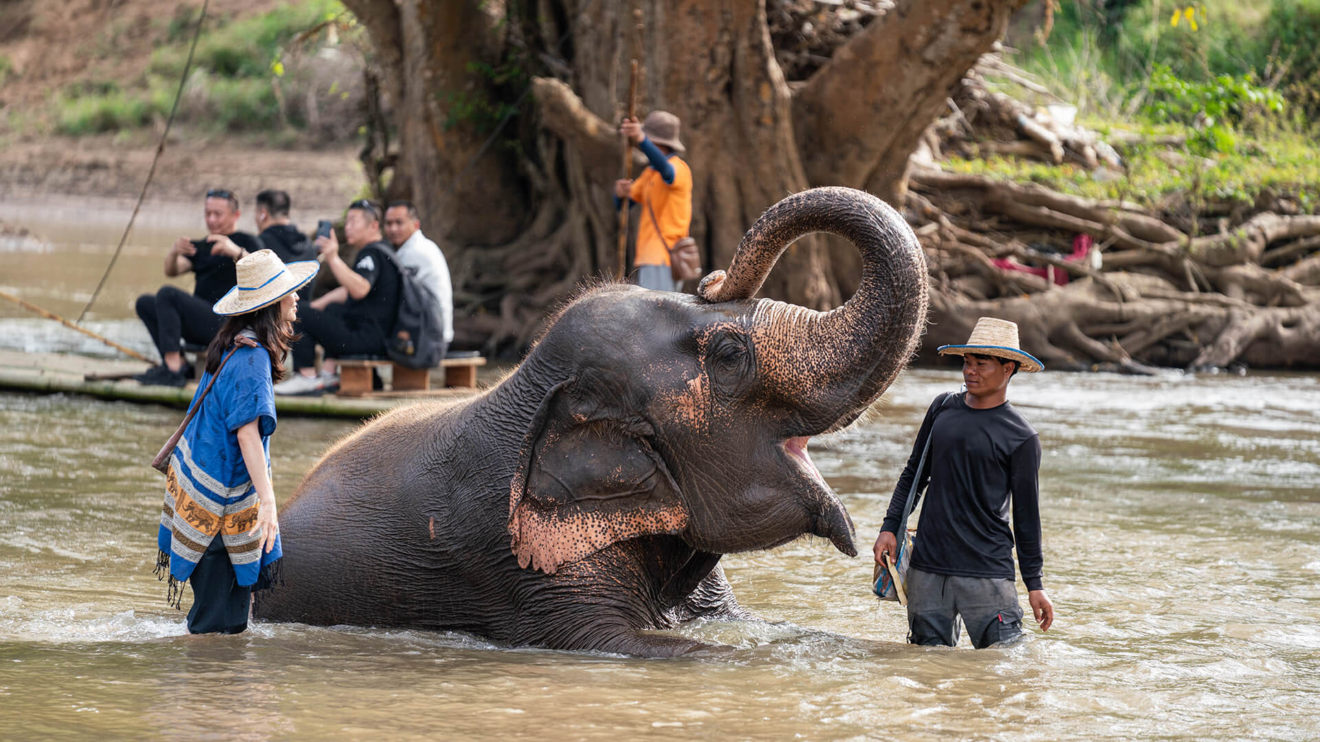 Elephant Care Program Afternoon​